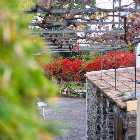 丰沙尔Ourmadeira - Loja Da Lenha, Charming公寓 外观 照片